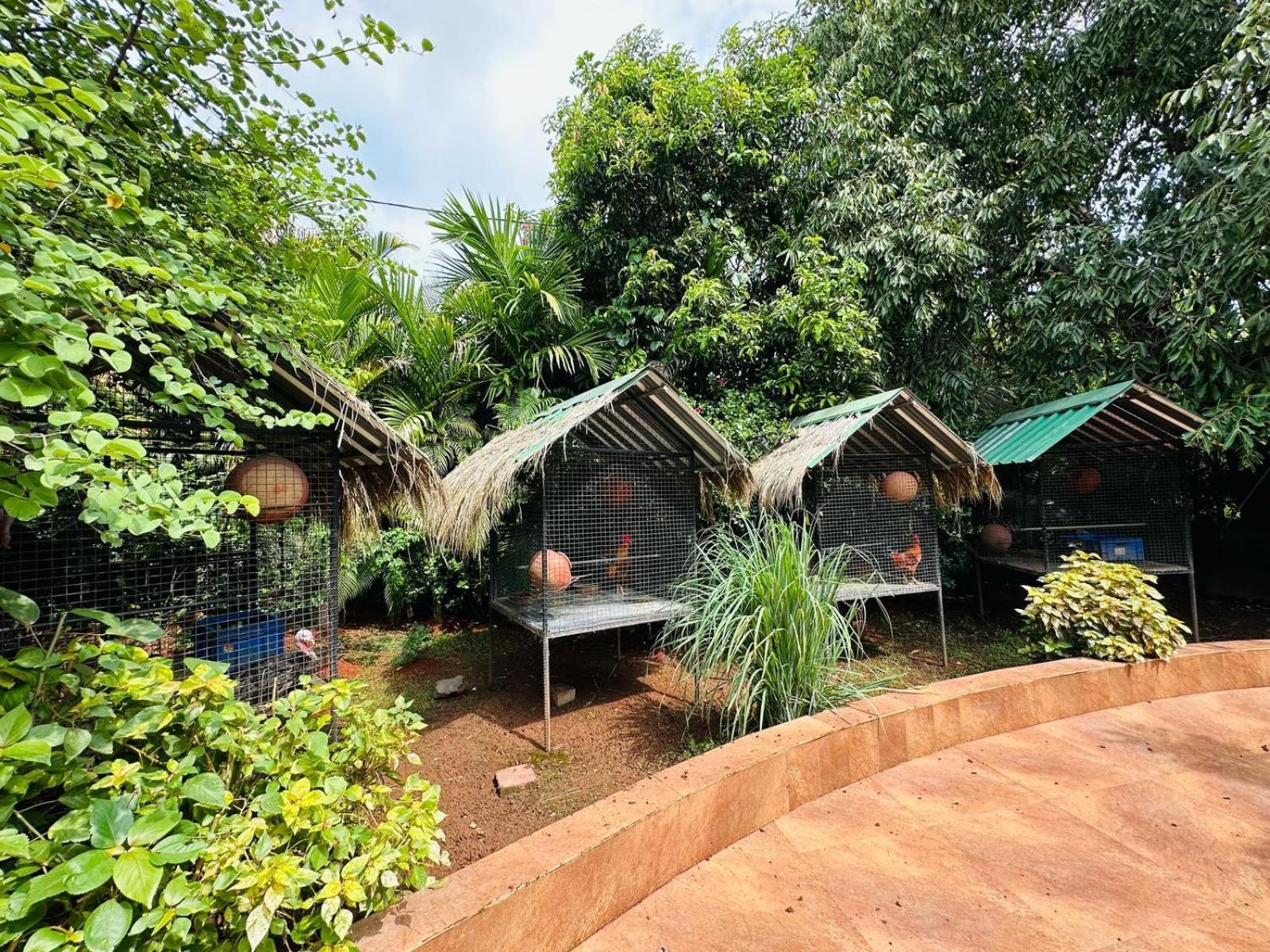 Elitehotels And Resorts Pvt Ltd Alibag Bagian luar foto